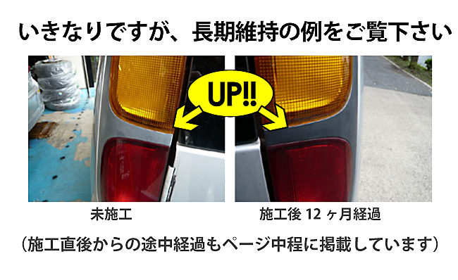 マイエターナル　ETE010樹脂復元剤プロ